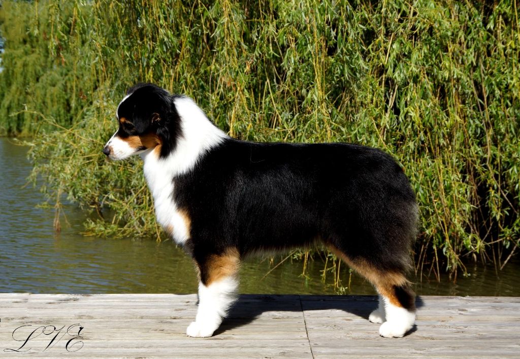 Lips like sugar des Terres De Khairyaca