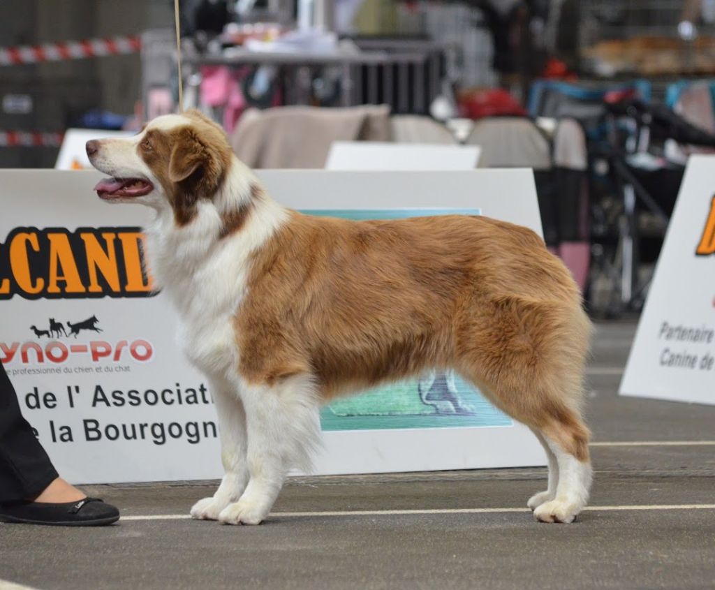 Jes mee & v des Terres De Khairyaca