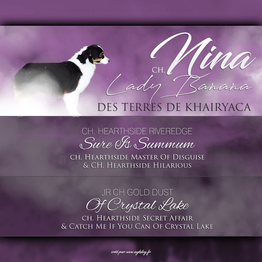 CH. Lady banana des Terres De Khairyaca