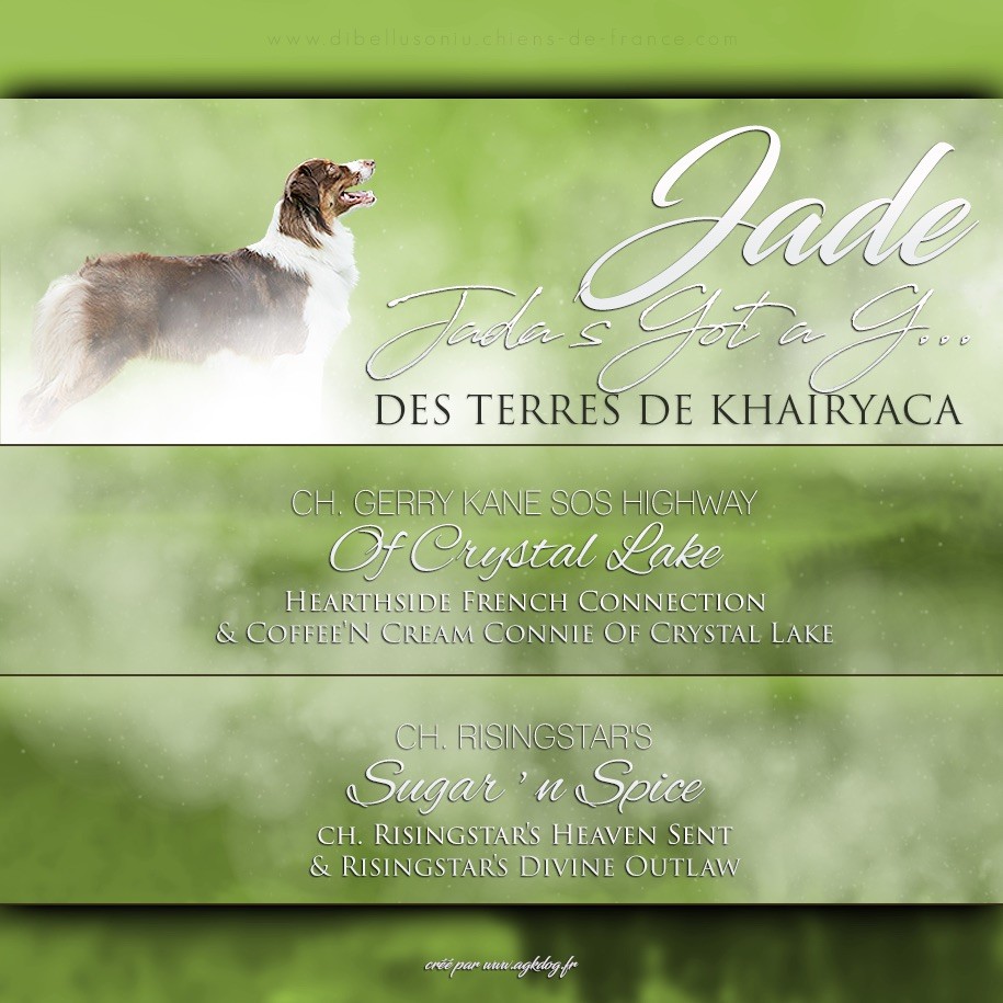 Jada's got a g... des Terres De Khairyaca