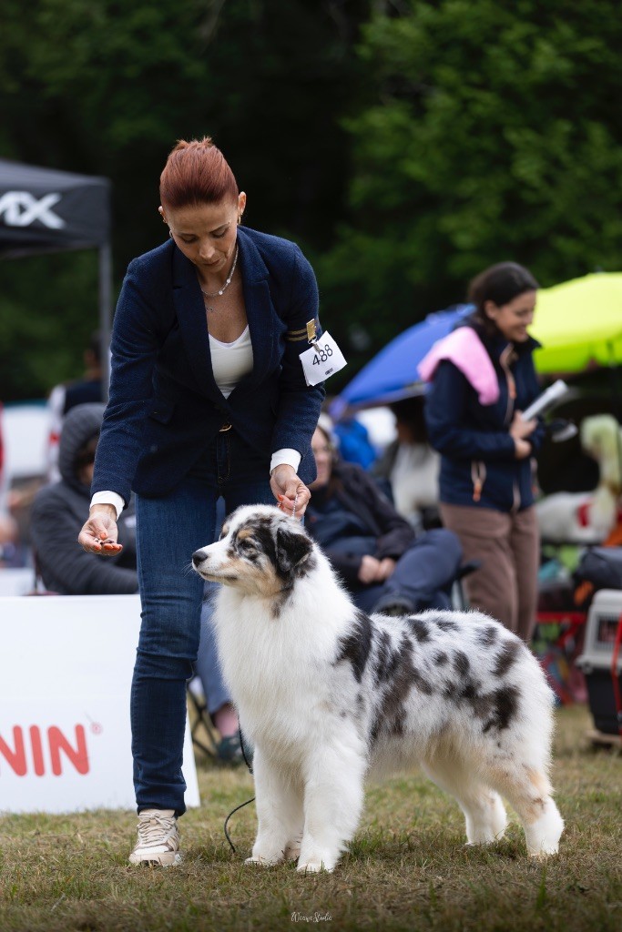 Jbis jbiss jvice et versailles des Terres De Khairyaca