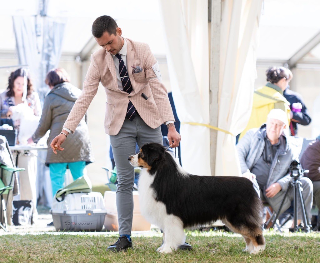 CH. Bis biss jch upper cut des Terres De Khairyaca