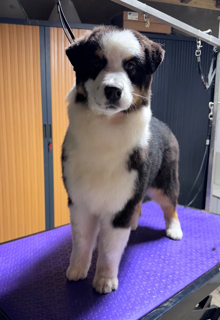 U crack me up des Terres De Khairyaca