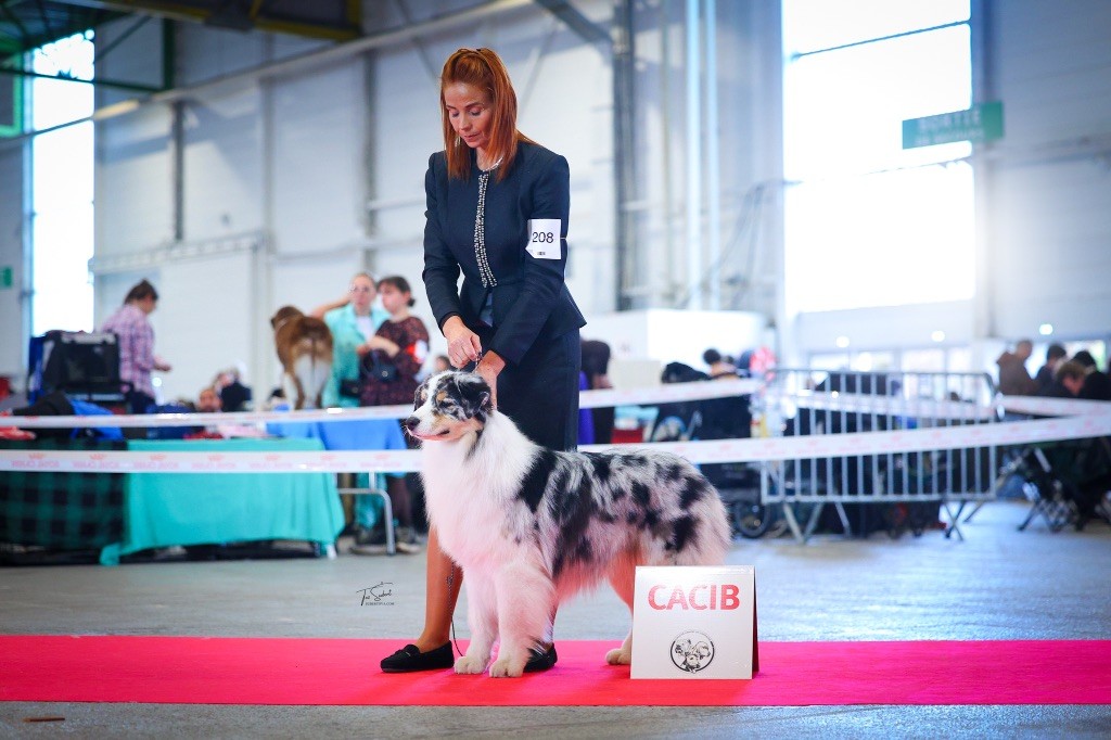 Jbis jbiss jvice et versailles des Terres De Khairyaca